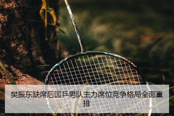 樊振东缺席后国乒男队主力席位竞争格局全面重排 | STARSPORTS